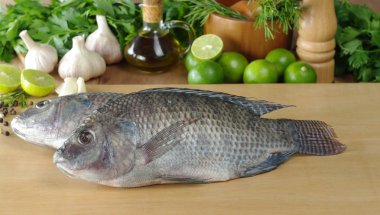 Fish Called Tilapia clipart