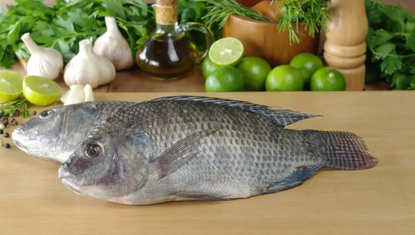 Риба називається тілапії — стокове фото