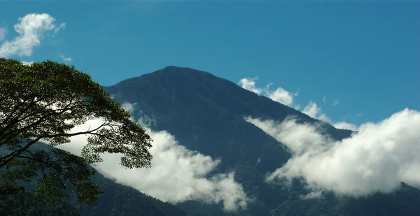 Pico de montaña con nubes — Foto de Stock