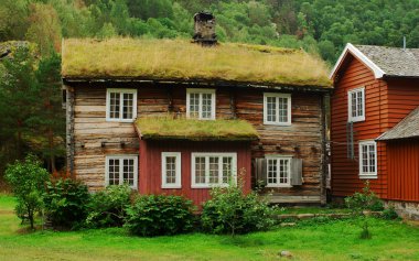 Norveç'te çim kapalı çatı