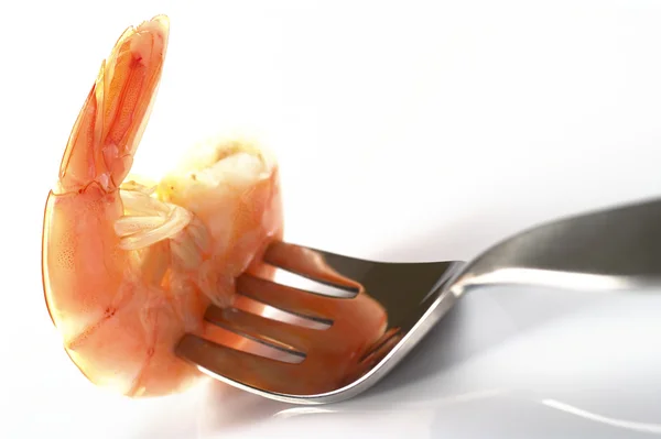 Cooked King Prawn on Fork — Stock Photo, Image