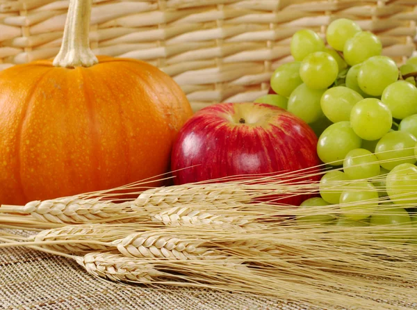 Wheat, Grapes, Apple and Pumpkin — Stock Photo, Image