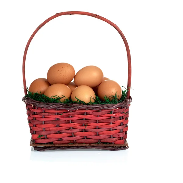 Eieren op mos in mand — Stockfoto