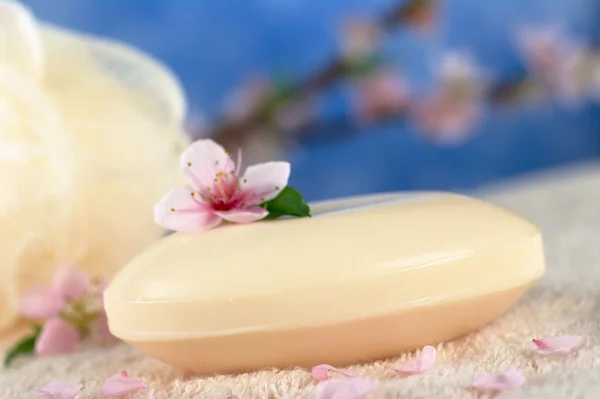 Soap Bar with Peach Blossom — Stock Photo, Image