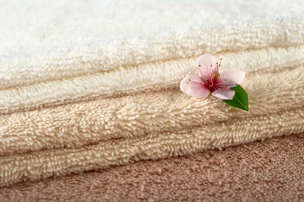 Perzik bloesem op handdoeken — Stockfoto