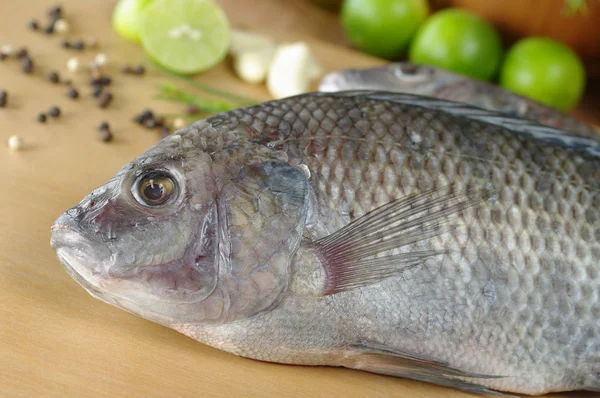 stock image Fish Called Tilapia