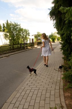 kadın ve iki küçük köpek.