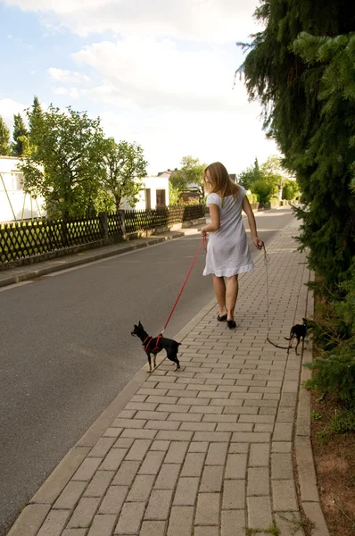 Kobieta i dwa małe psy. — Zdjęcie stockowe
