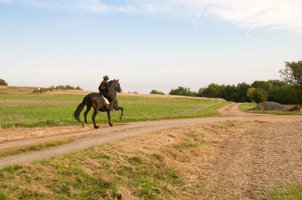 Equestrienne 和一匹马. — 图库照片
