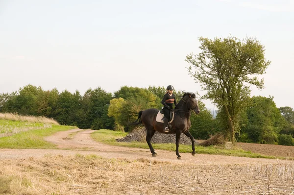 Equestrienne 和一匹马. — 图库照片