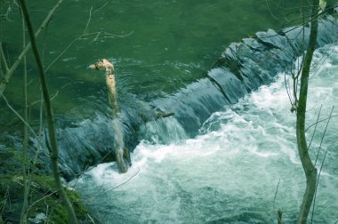 Küçük bir şelale. Yarığı Nehri üzerinde.