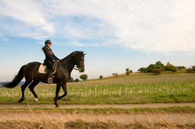 Equestrienne rides at a gallop on the field road. clipart