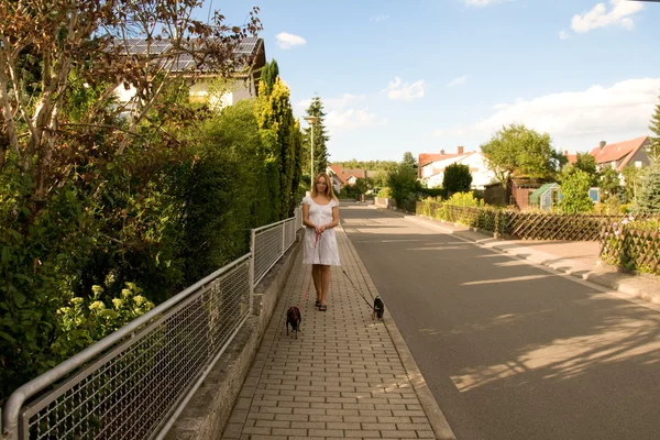 stock image Woman with two dogs.