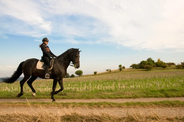 stock image Equestrienne rides at a gallop on the field road.