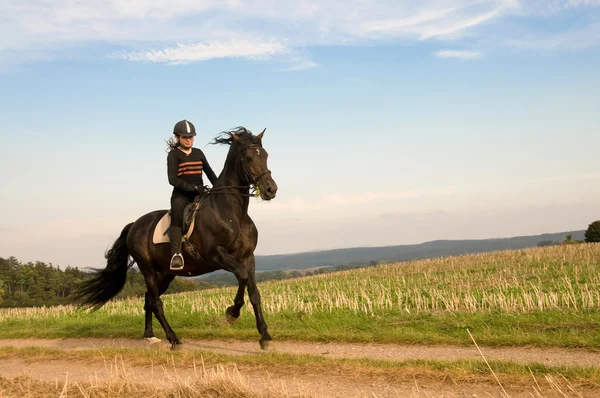 Equestrienne 和一匹马. 图库照片
