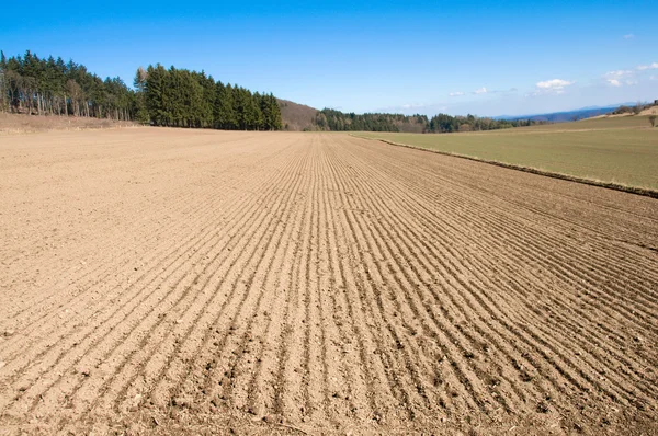 Arable land and forest. — Stock Photo, Image