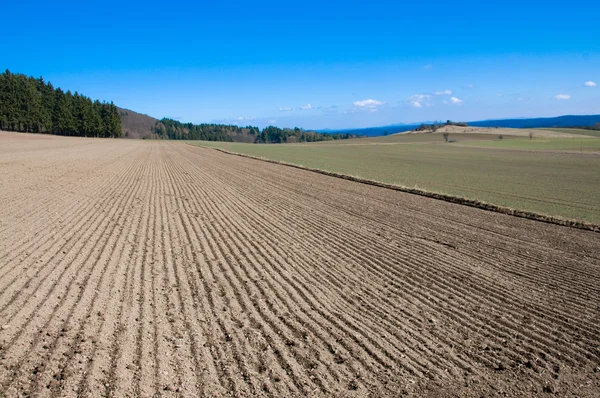 Arable land, forests and hill. — Stock Photo, Image