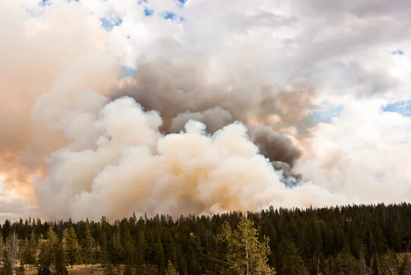 stock image Clouds of Fire