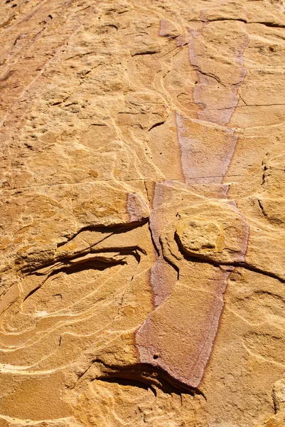 砂岩のアート — ストック写真