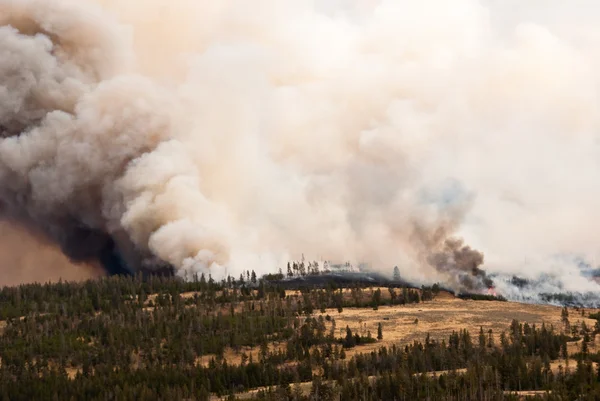 Yellowstone v plamenech — Stock fotografie