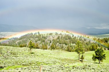 Gökkuşağı bir yamacın kıvrımlarına fırtınadan sonra Yellowstone Parkı hugs.