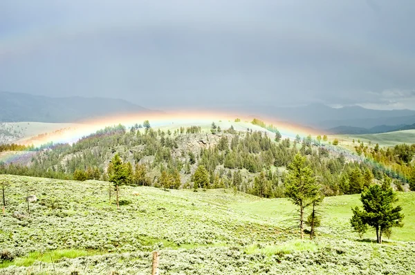 stock image Rainbow hugs the contours of a hillside after storm Yellowstone Park