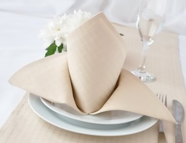 Napkin 