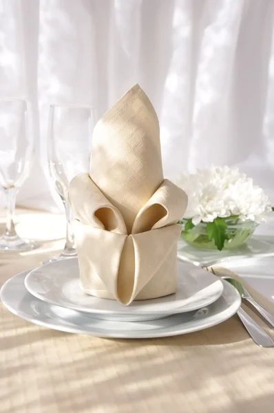 Coordinated Decorative Napkin Plate Cutlery — Stock Photo, Image