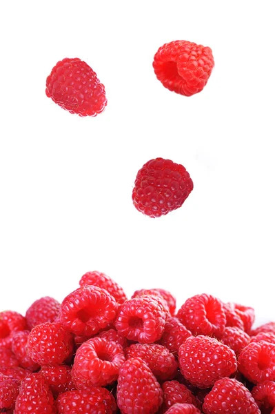 stock image Ripe red raspberries