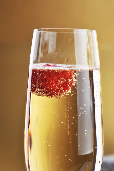 Bicchiere Shampagne — Foto Stock