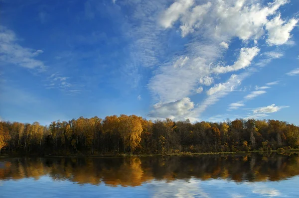 stock image Forest reflected in lake