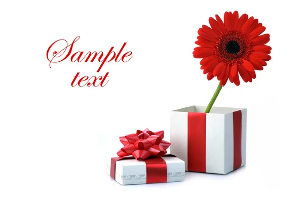 Geschenk und rote Blume — Stockfoto