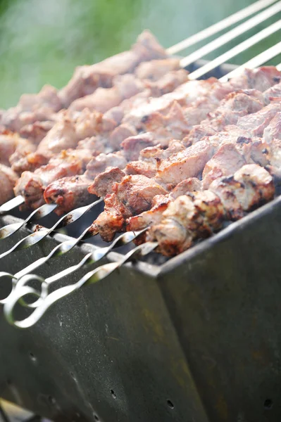 Vlees segmenten — Stockfoto