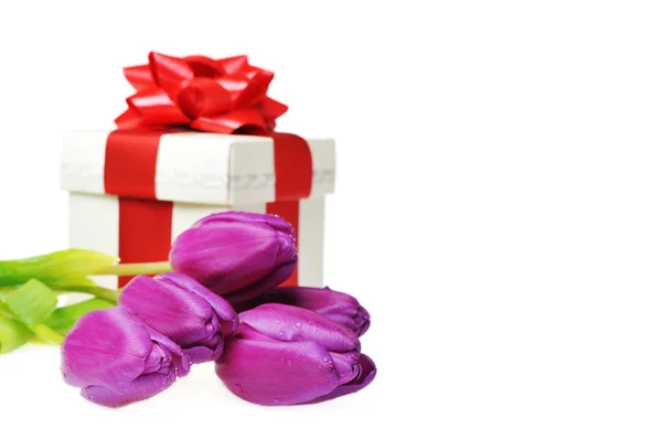 Tulppaanit ja lahjapakkaus — kuvapankkivalokuva