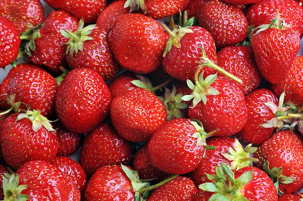स्ट्रॉबेरी बंद करें — स्टॉक फ़ोटो, इमेज