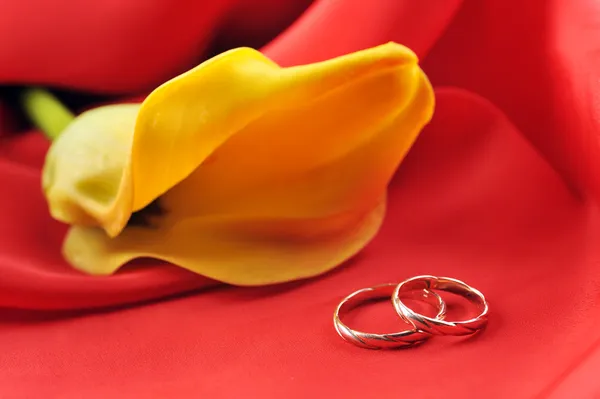 Snubní Prsteny Žlutý Květ Červeném Pozadí — Stock fotografie