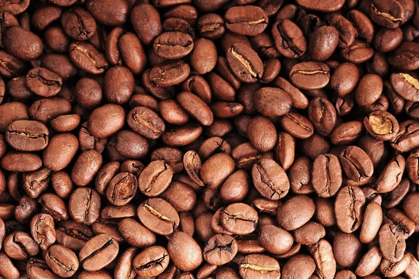 Wielu Brązowe Tło Ziarna Kawy — Zdjęcie stockowe