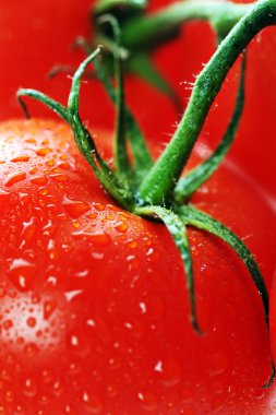 Fresh tomato with water drops close up clipart