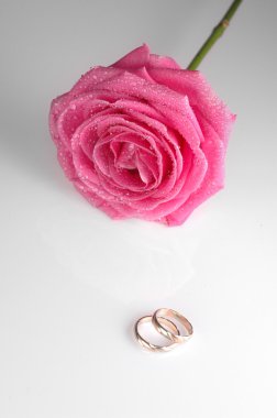 Pink rose with rings clipart