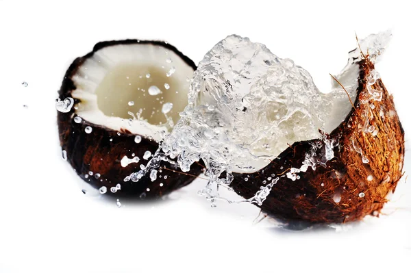 大きなスプラッシュでひびの入ったココナッツ — ストック写真