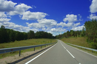 Landscape with road in the forest clipart