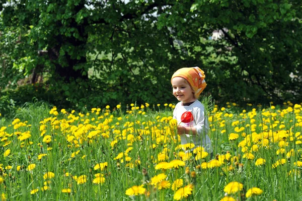 Dziewczyna w dziedzinie kwitnących — Zdjęcie stockowe