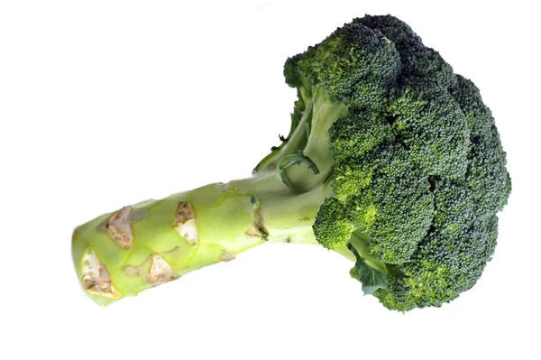 Brokkoli sieht aus wie Baum auf Weiß — Stockfoto
