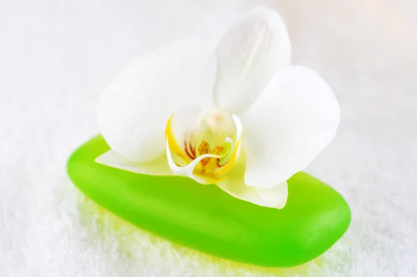 Grön Tvål Och Orkidé Närbild — Stockfoto