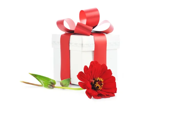 Geschenkbox Und Rote Blume Aus Nächster Nähe — Stockfoto