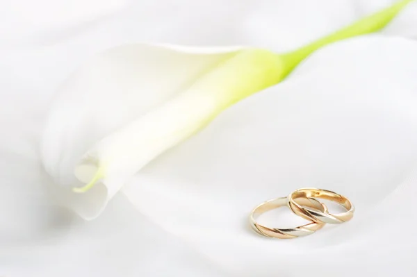 Bílé Průhledné Látky Snubní Prsteny Zblízka — Stock fotografie