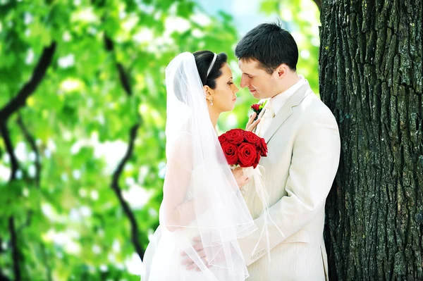 Brudgummen och bruden Royaltyfria Stockfoton
