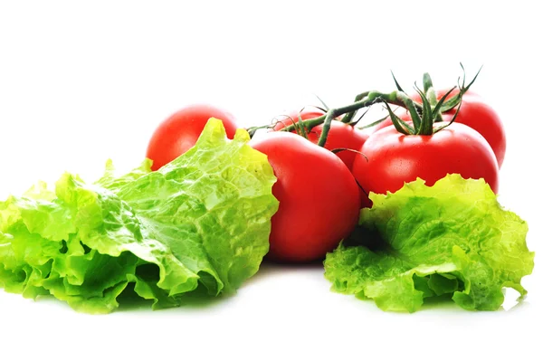 Fresh vegetables tomatoes with lettuce — Stock Photo, Image