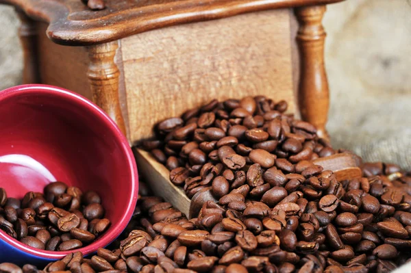 Koffiemolen en cup — Stockfoto
