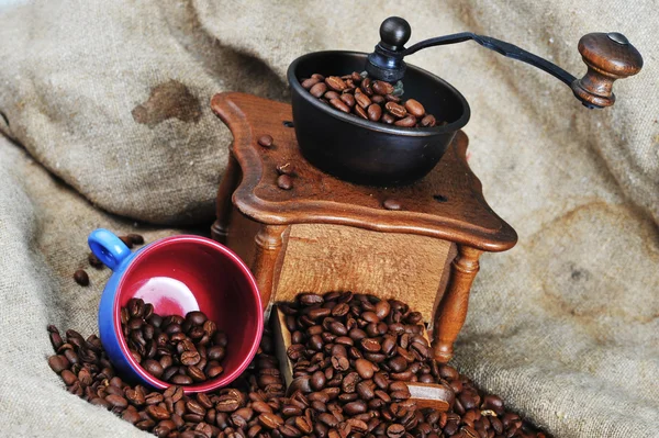Moulin à café et tasse — Photo